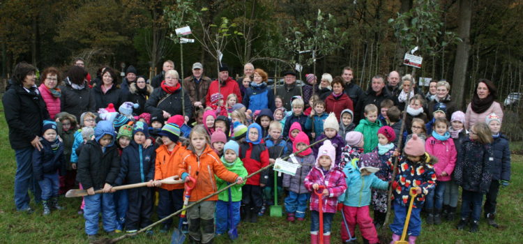 Rotary Club spendiert sechs Bäume für die Obstwiese in Harkebrügge
